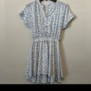 Floral Blue and White Dress